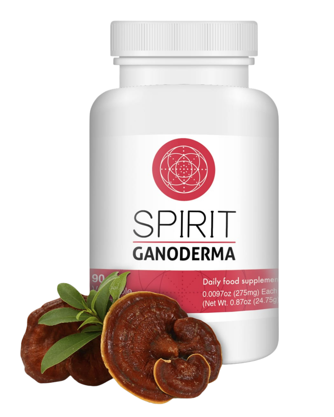 Ganoderma